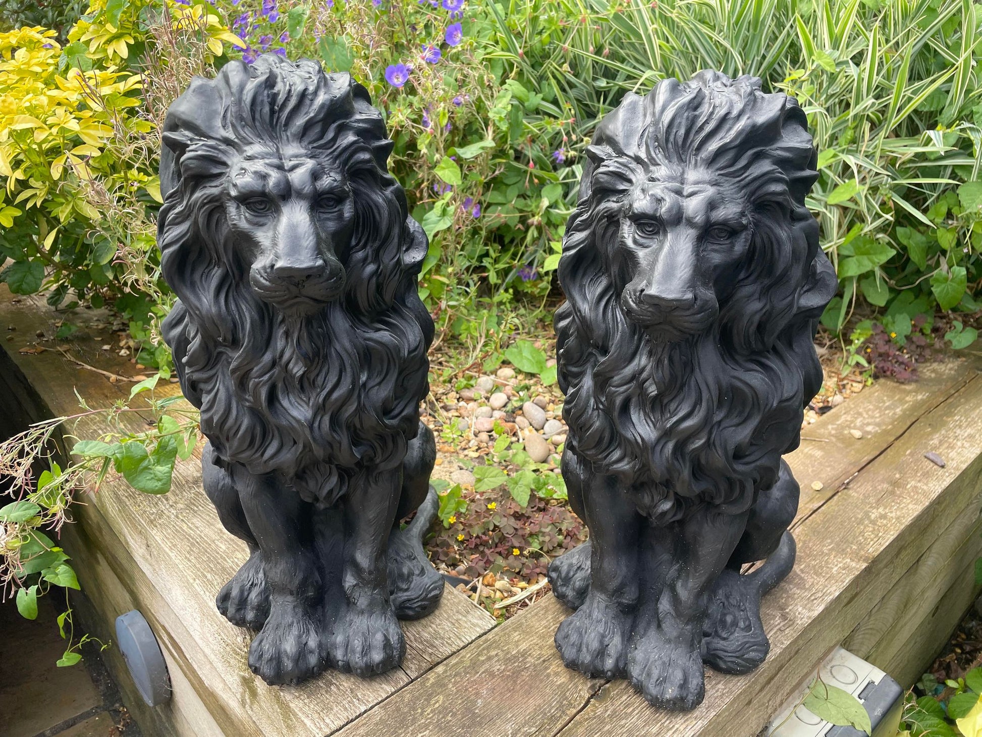 Majestic Lion Set - Backyard Bliss