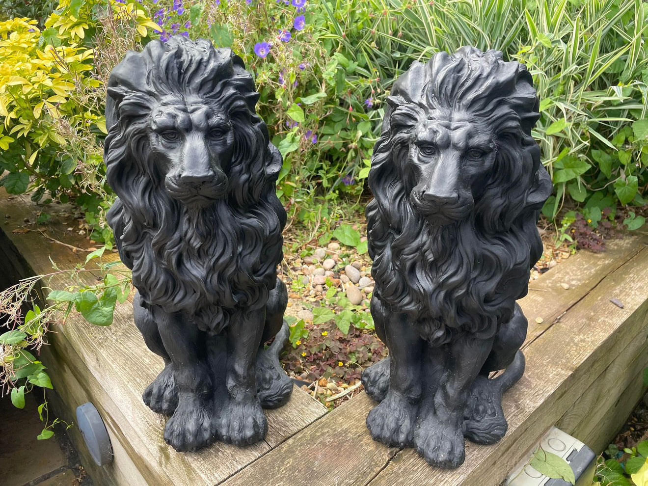 Majestic Lion Set - Backyard Bliss
