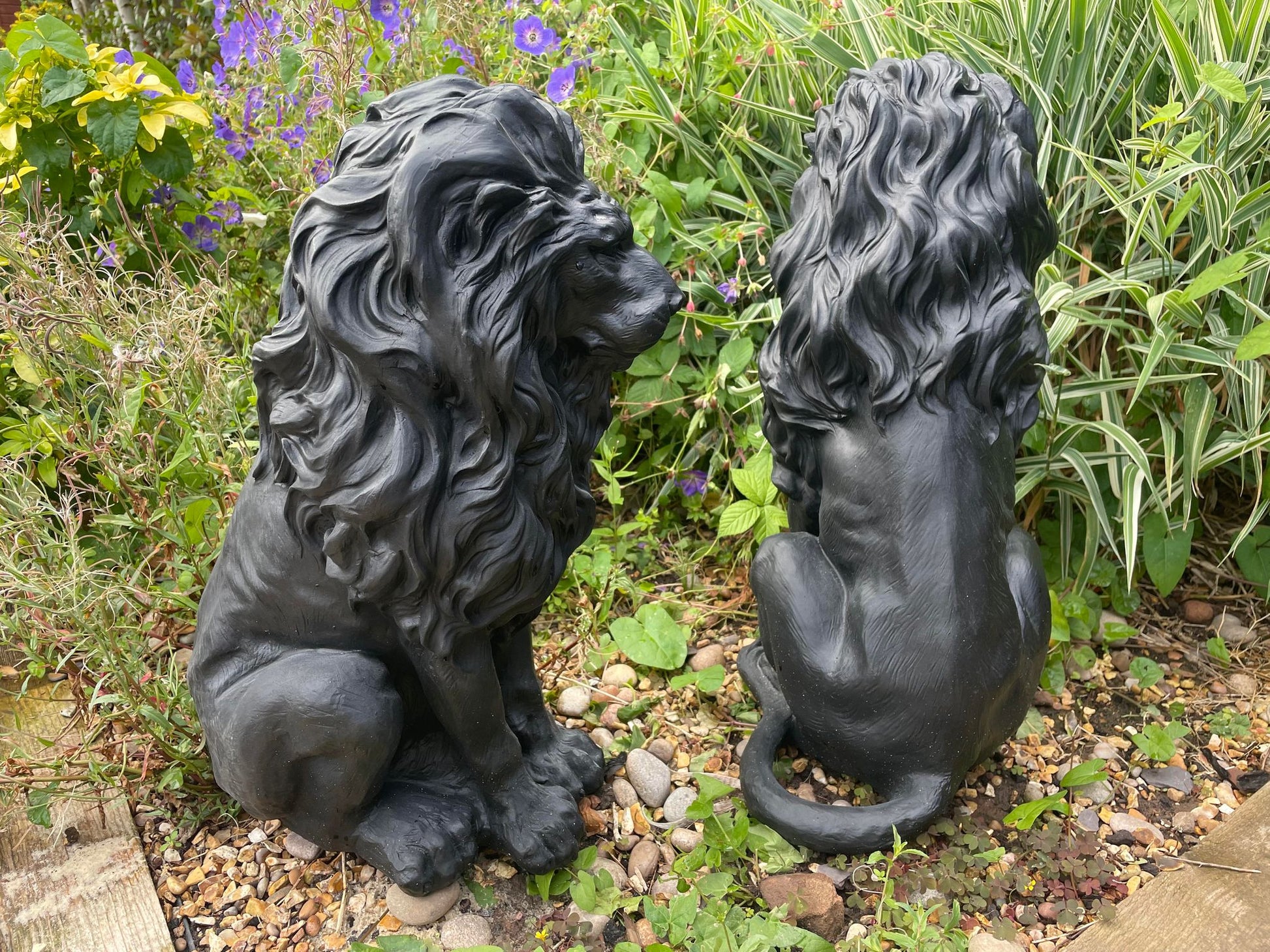 Majestic Lion Set - Backyard Bliss