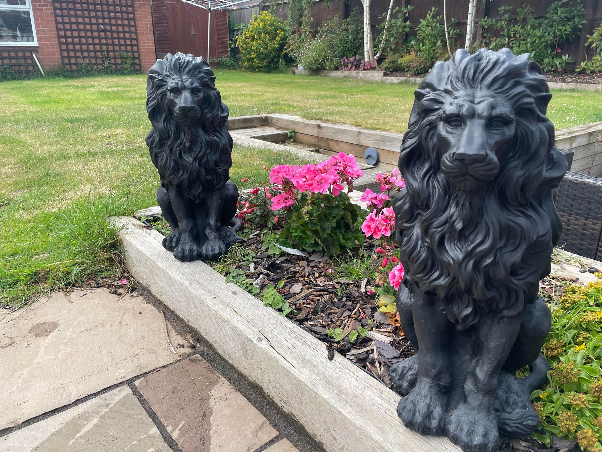 Majestic Lion Set - Backyard Bliss