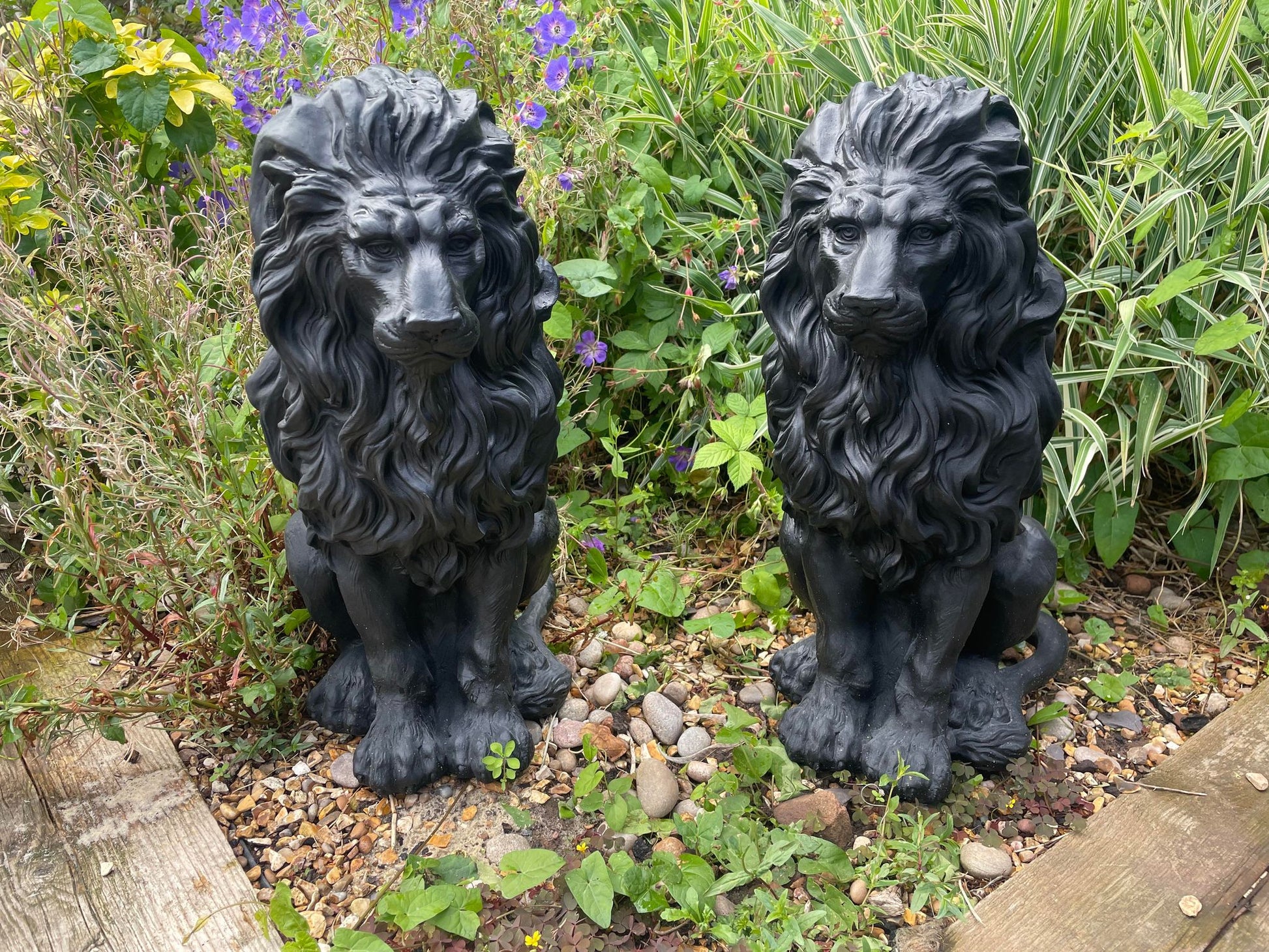 Majestic Lion Set - Backyard Bliss