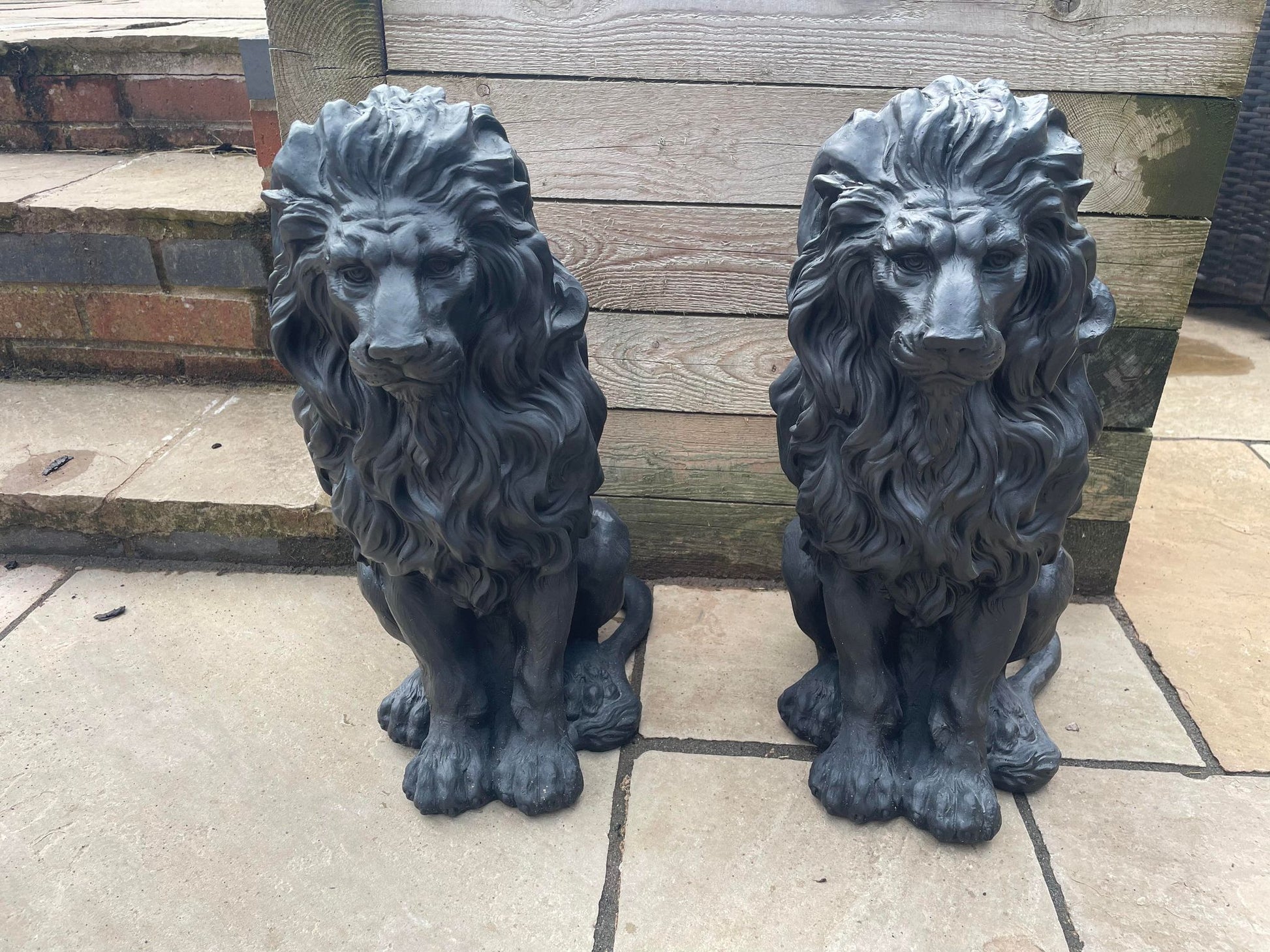 Majestic Lion Set - Backyard Bliss