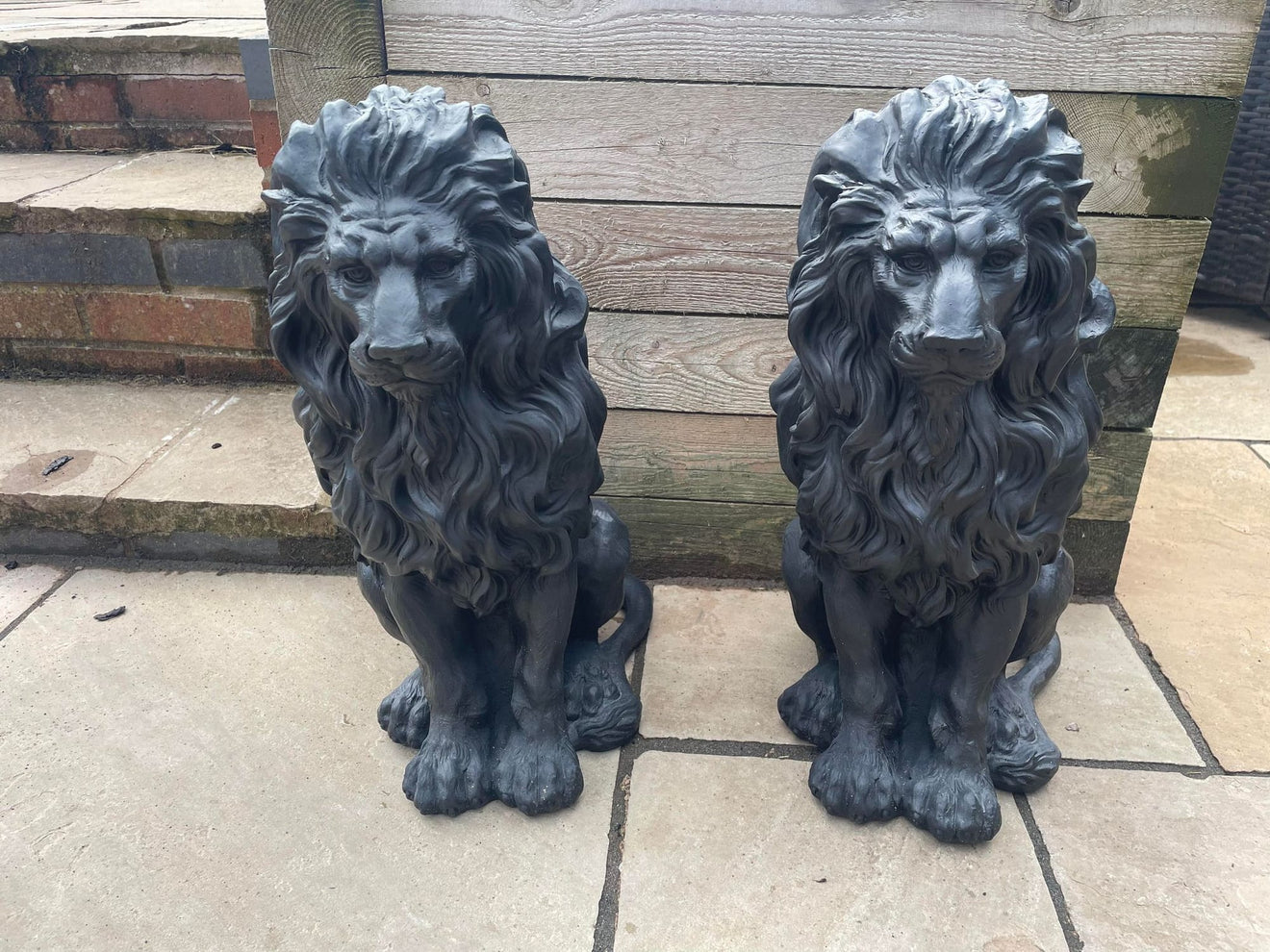 Majestic Lion Set - Backyard Bliss