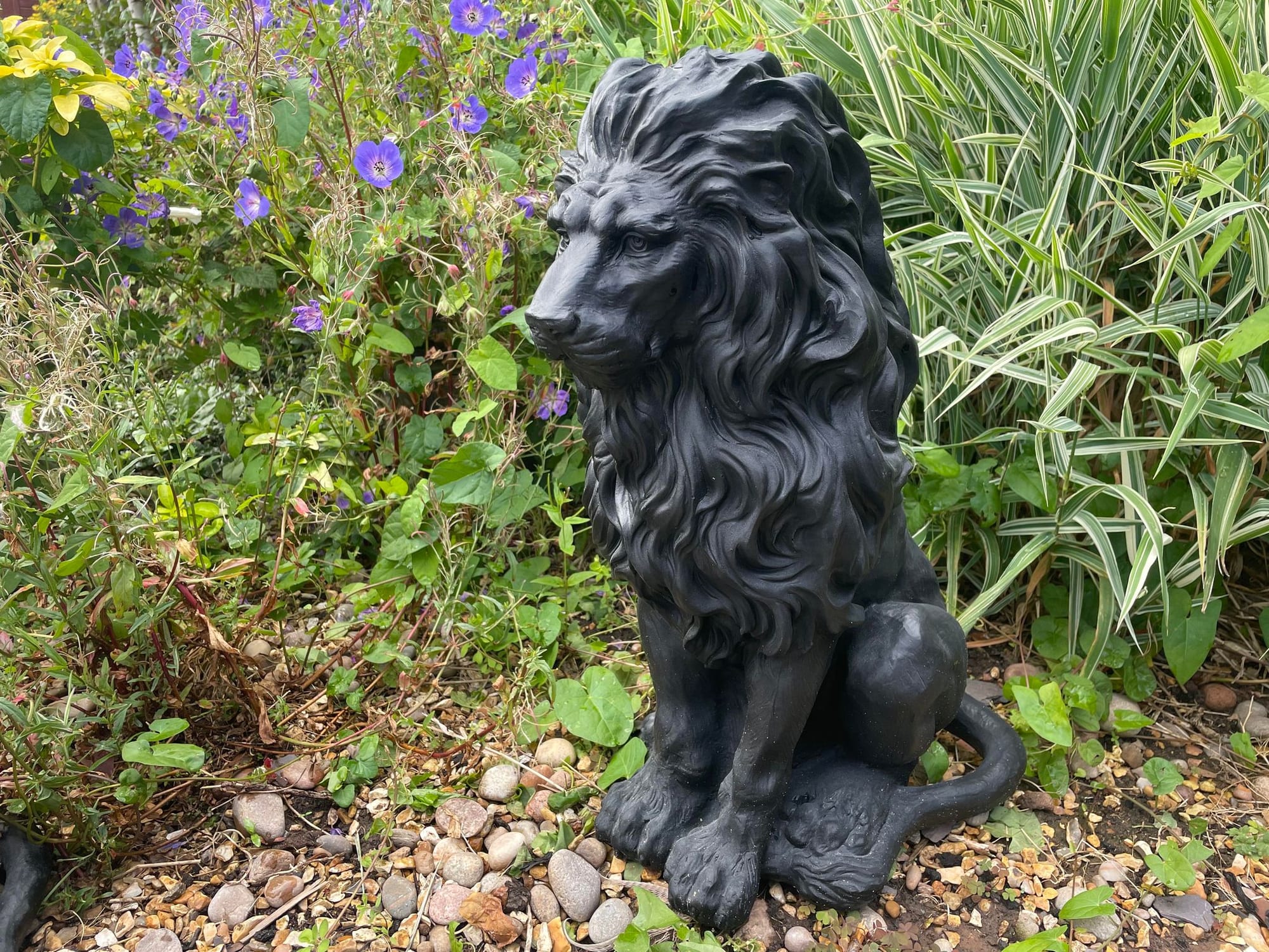 Majestic Lion Set - Backyard Bliss