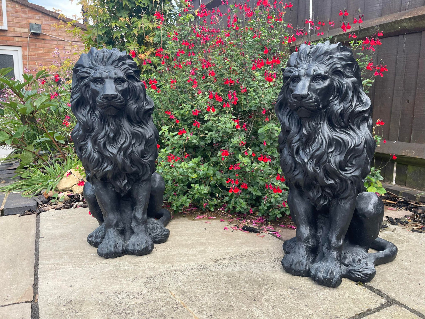Majestic Lion Set - Backyard Bliss