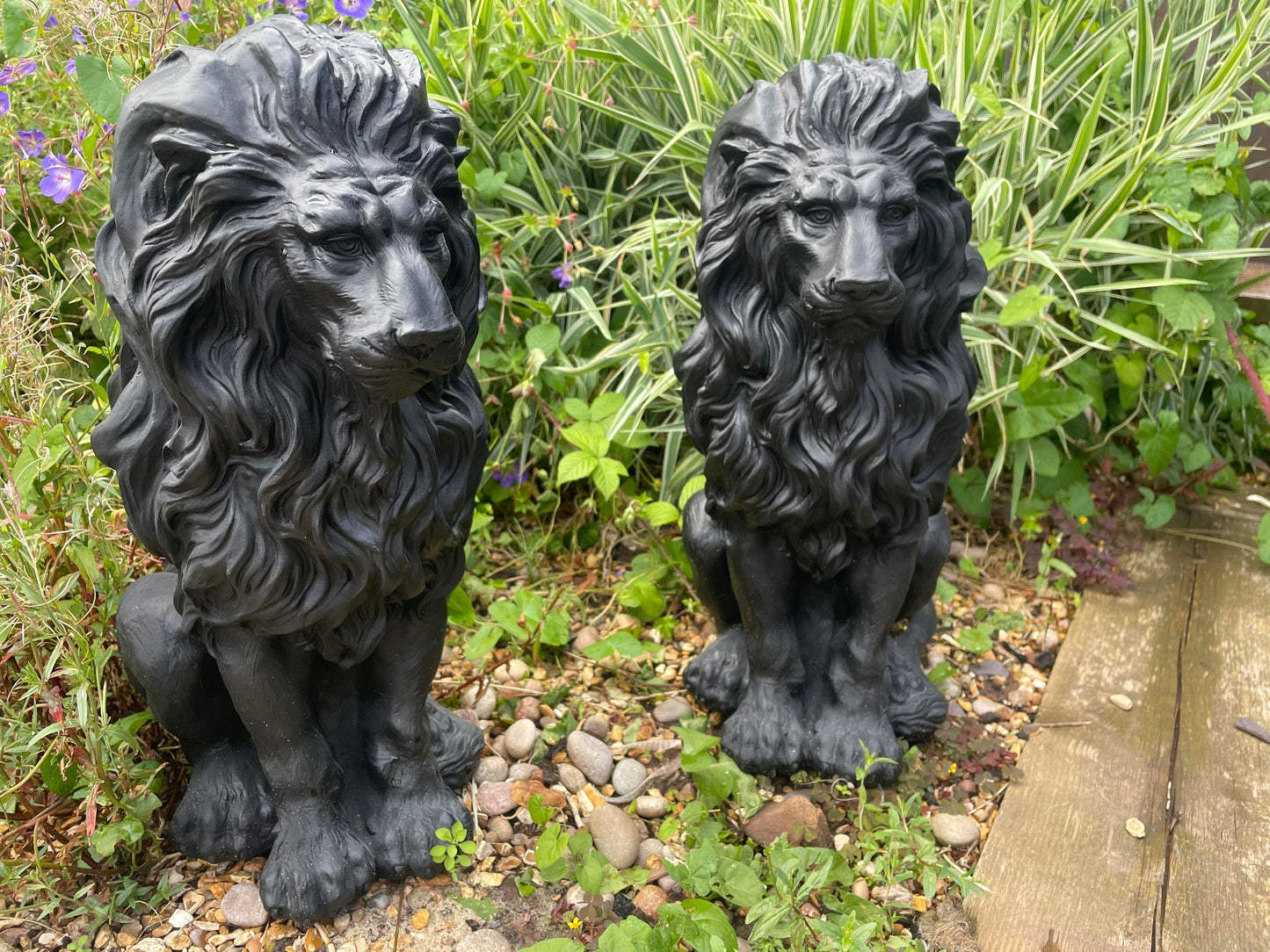 Majestic Lion Set - Backyard Bliss