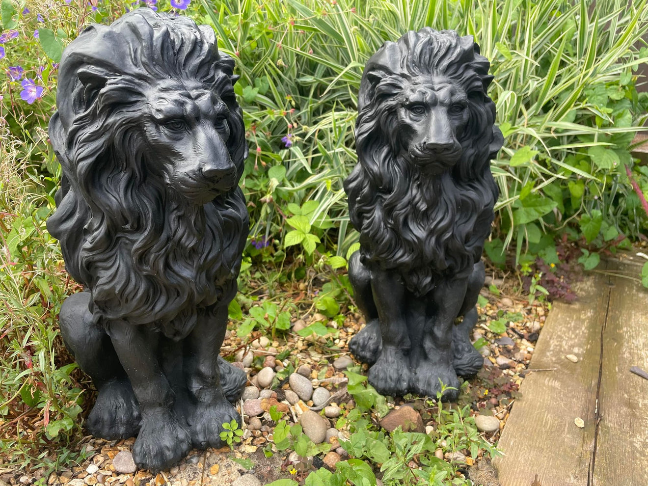 Majestic Lion Set - Backyard Bliss