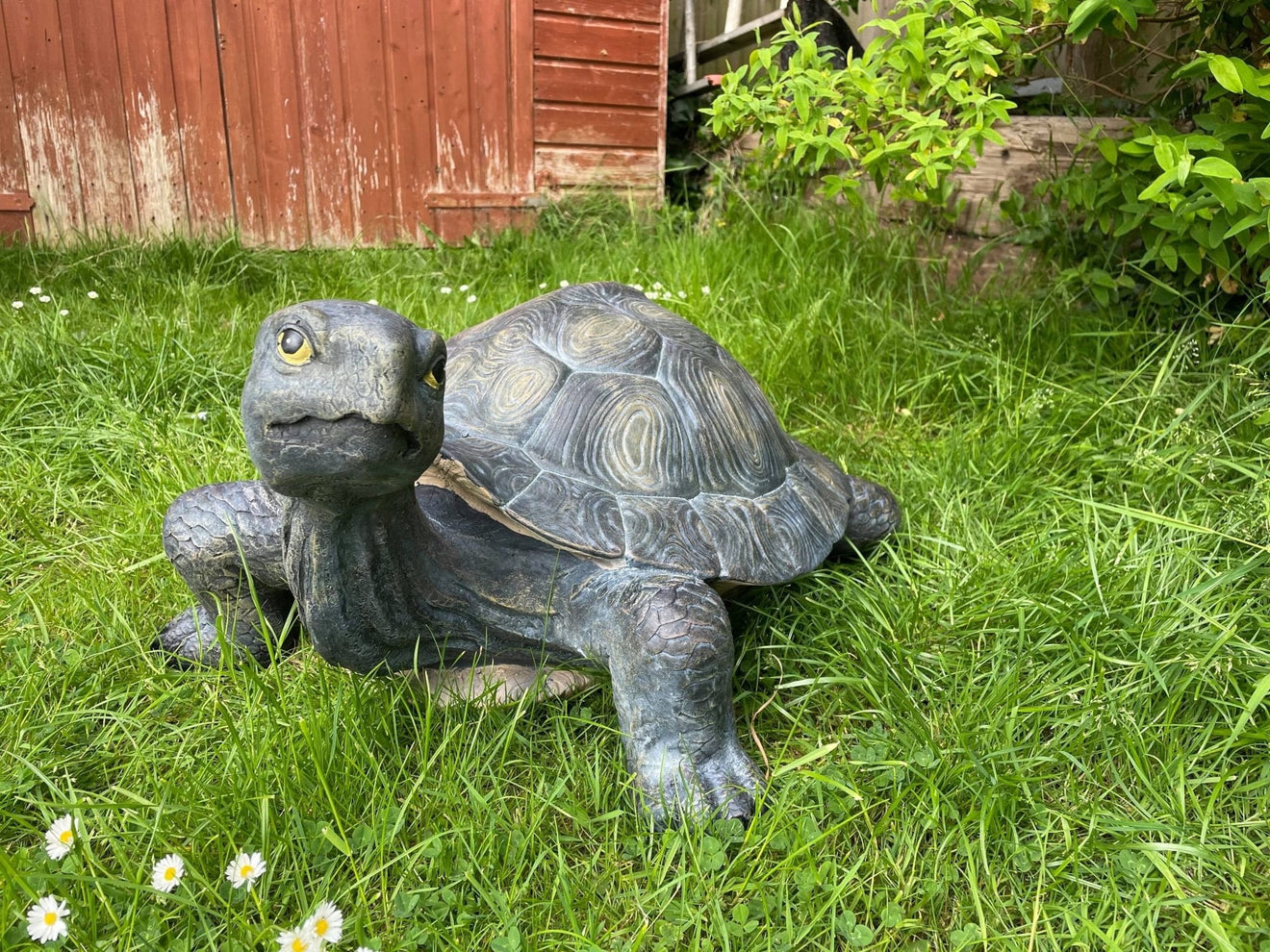Maximus the Giant Tortoise - Backyard Bliss