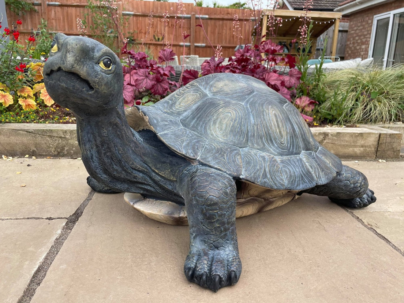 Maximus the Giant Tortoise - Backyard Bliss