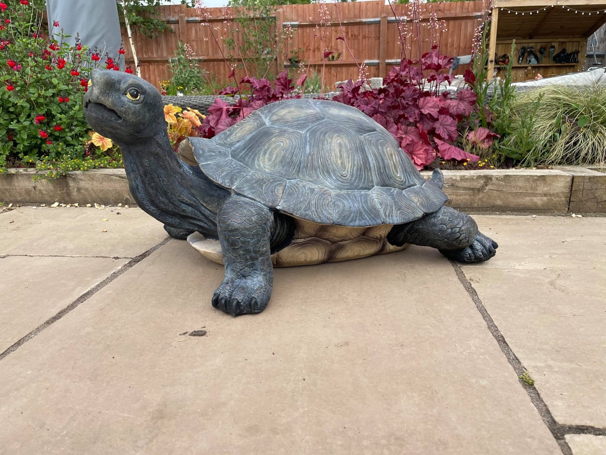 Maximus the Giant Tortoise - Backyard Bliss
