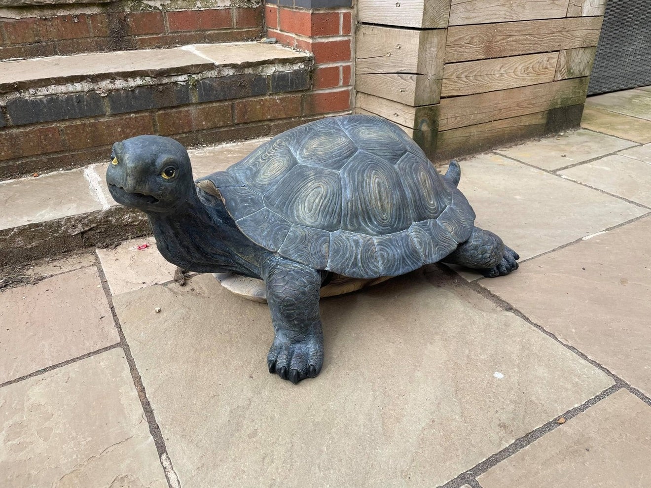 Maximus the Giant Tortoise - Backyard Bliss