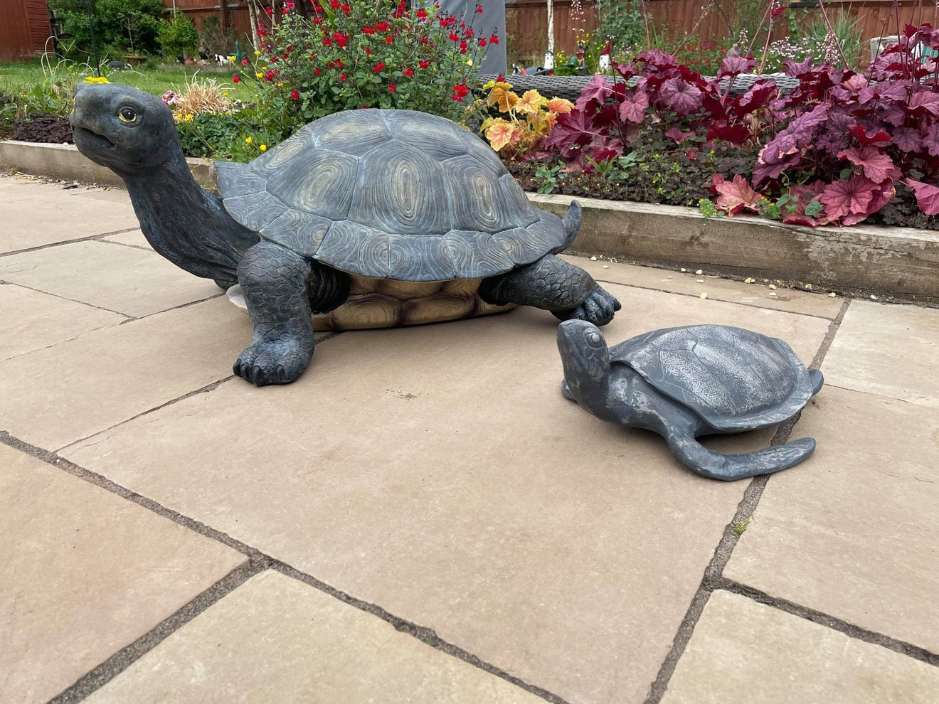 Maximus the Giant Tortoise - Backyard Bliss