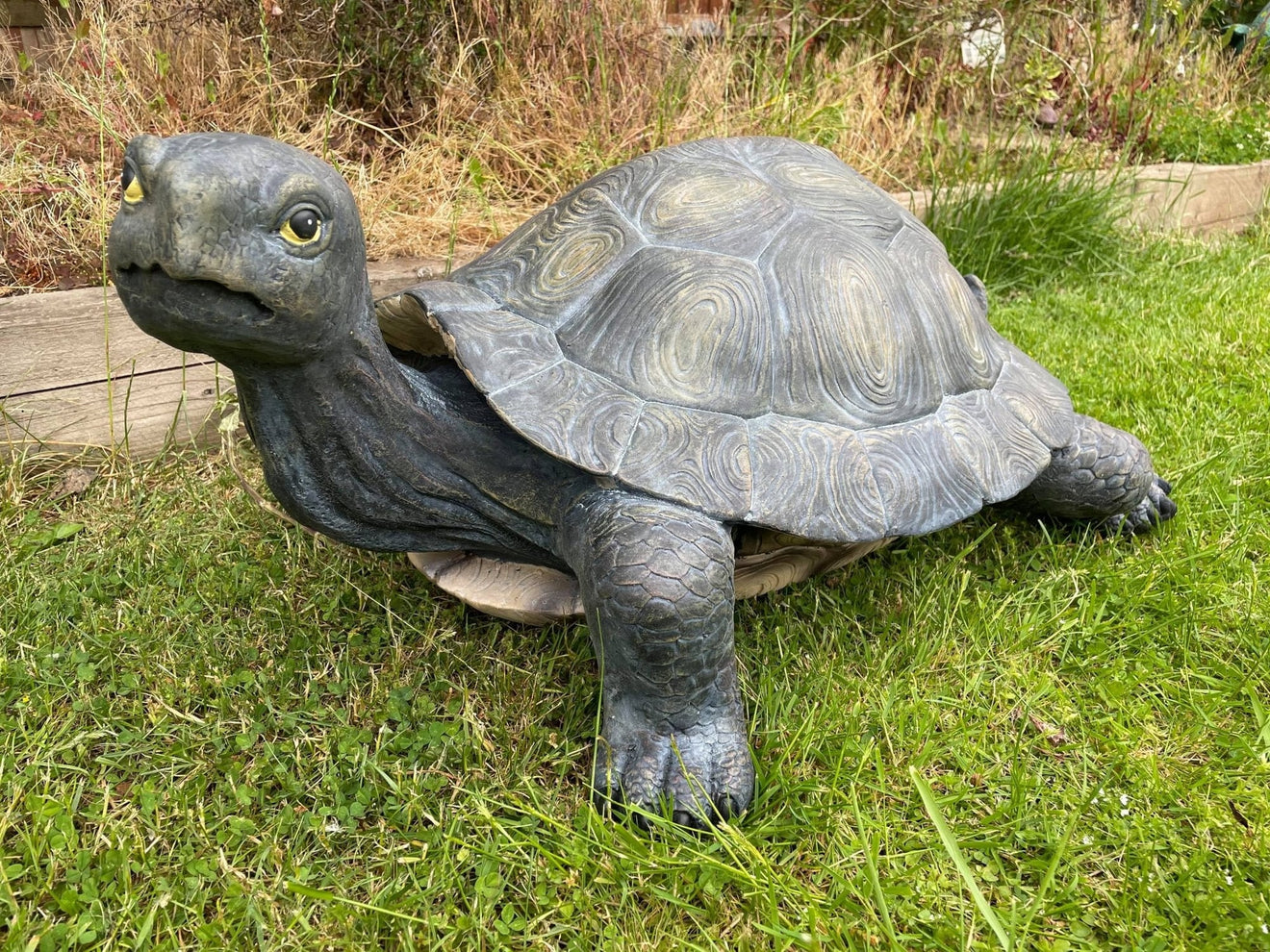 Maximus the Giant Tortoise - Backyard Bliss