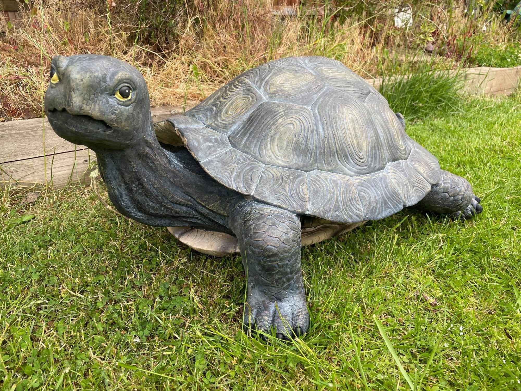 Maximus the Giant Tortoise - Backyard Bliss