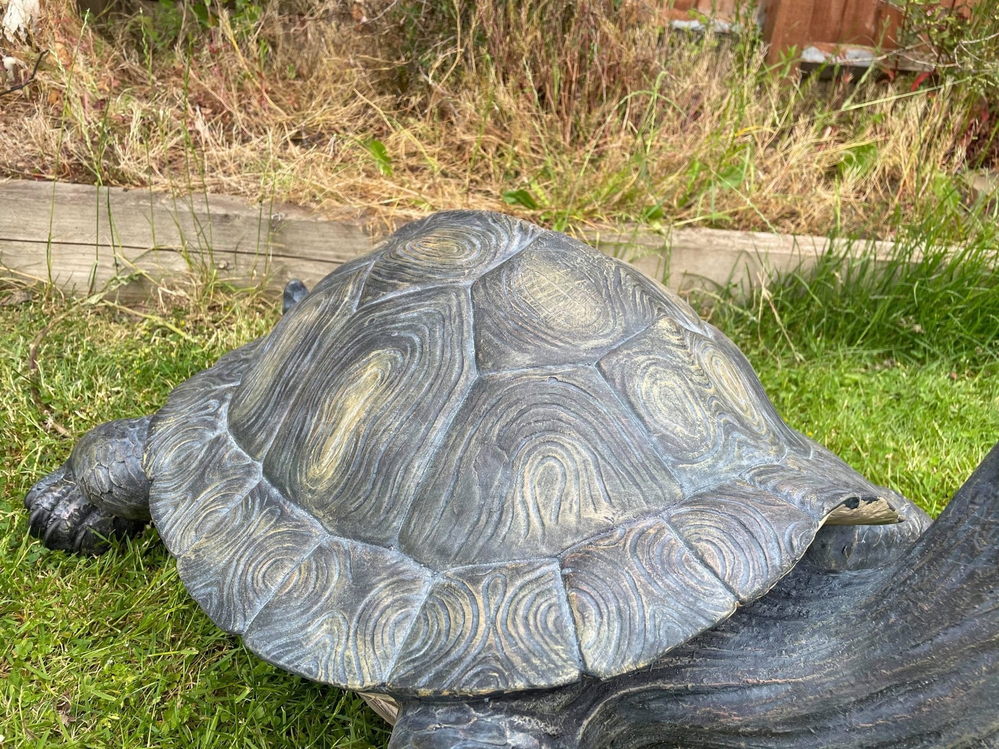 Maximus the Giant Tortoise - Backyard Bliss