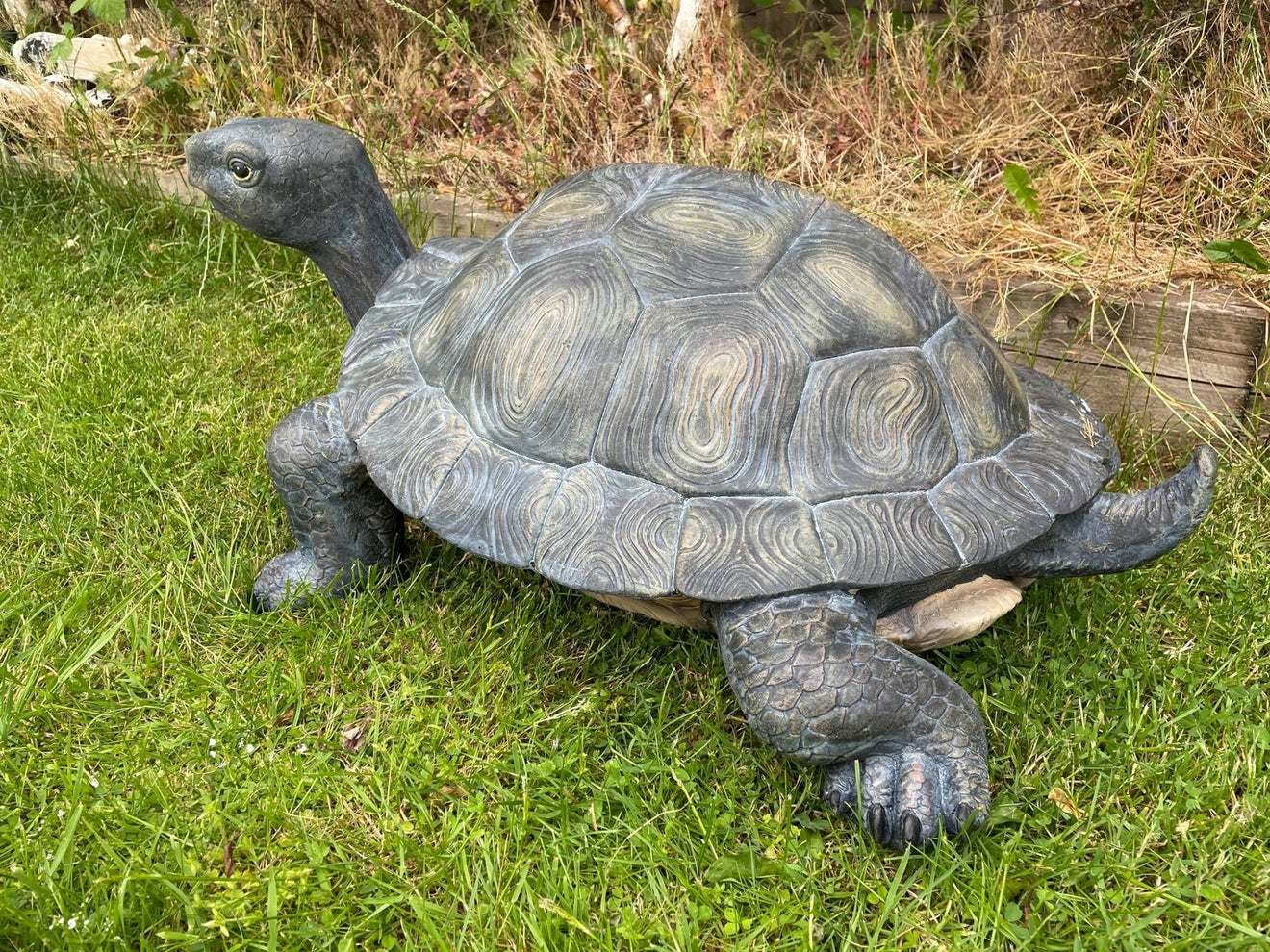 Maximus the Giant Tortoise - Backyard Bliss