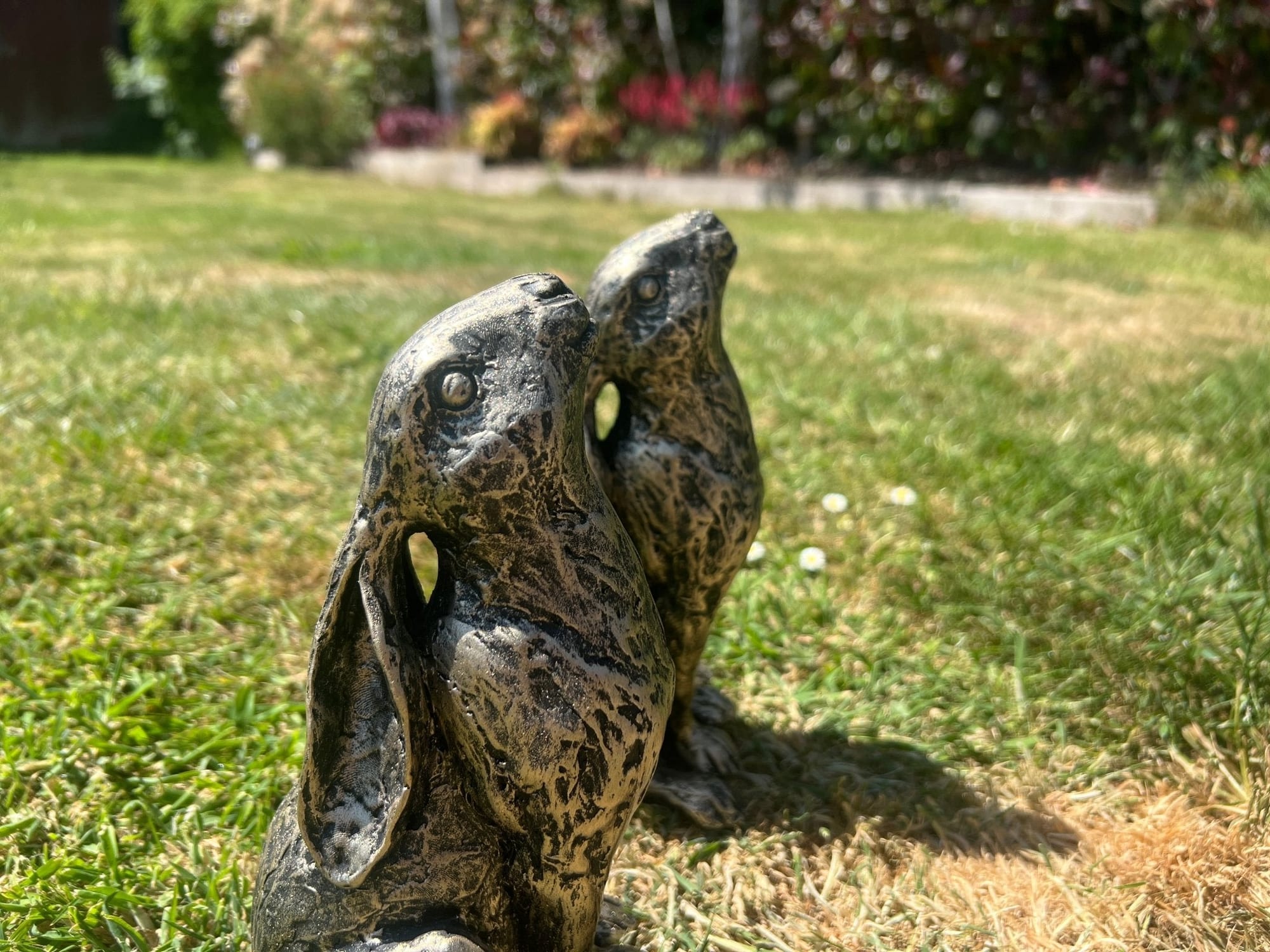 Medium Star Gazer Hares - Backyard Bliss