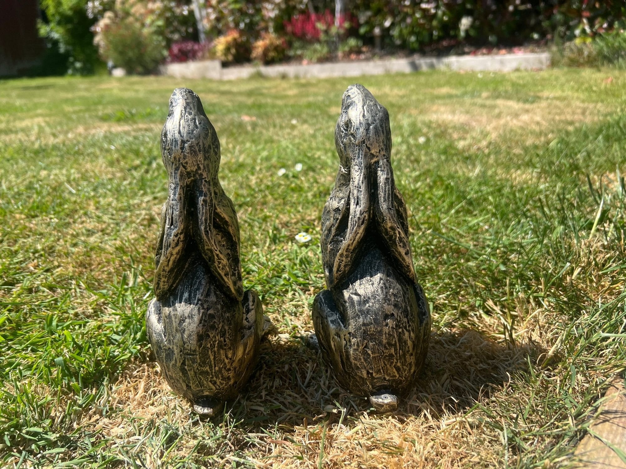 Medium Star Gazer Hares - Backyard Bliss