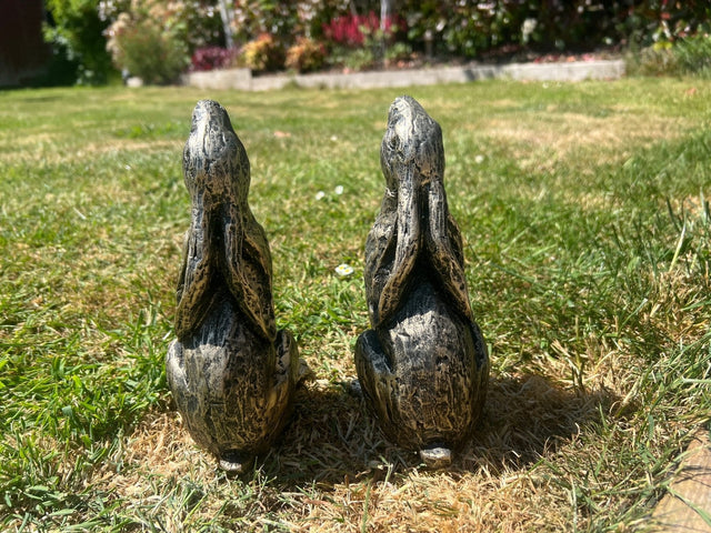 Medium Star Gazer Hares - Backyard Bliss