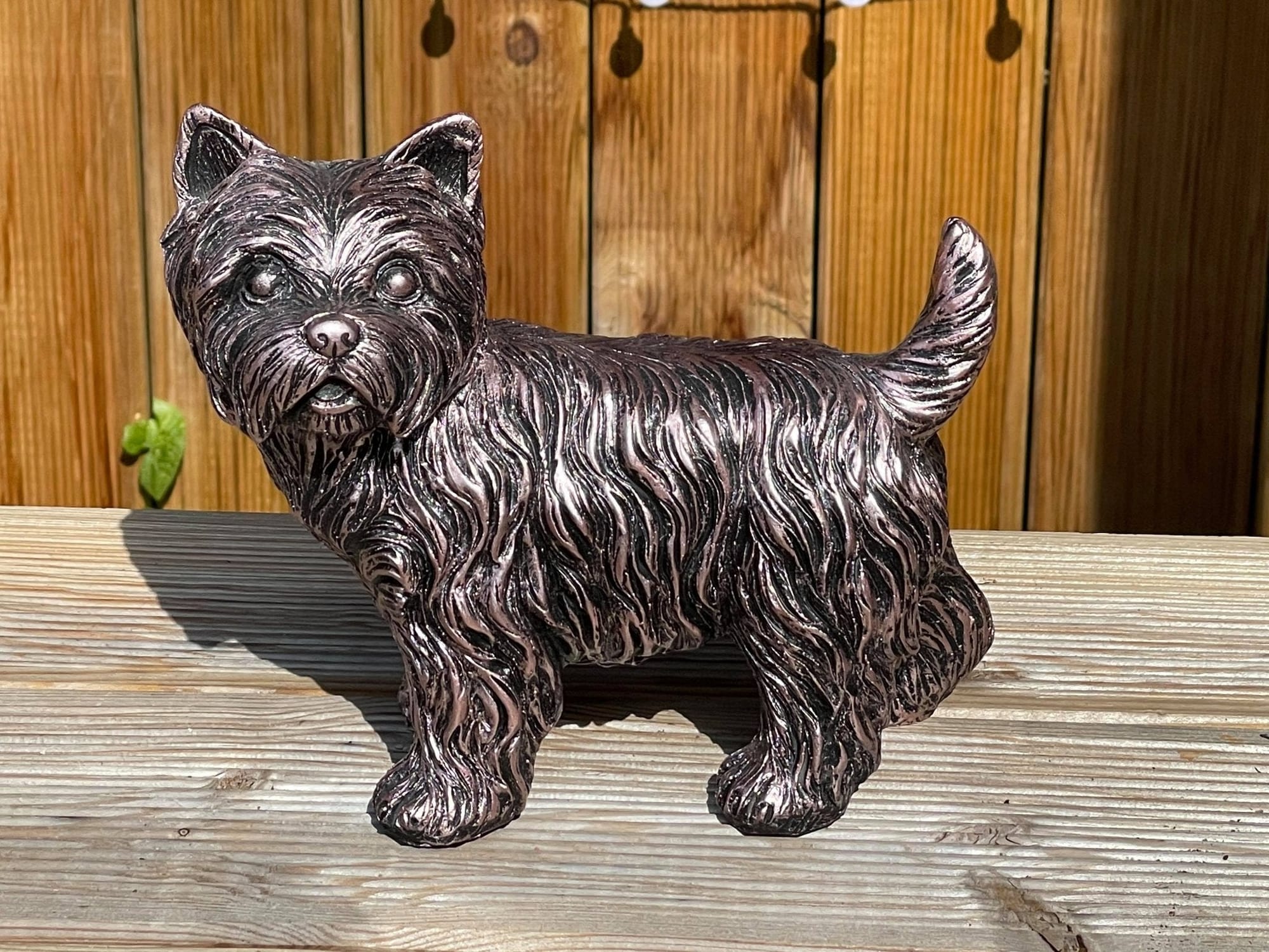 Mini Westies - Backyard Bliss