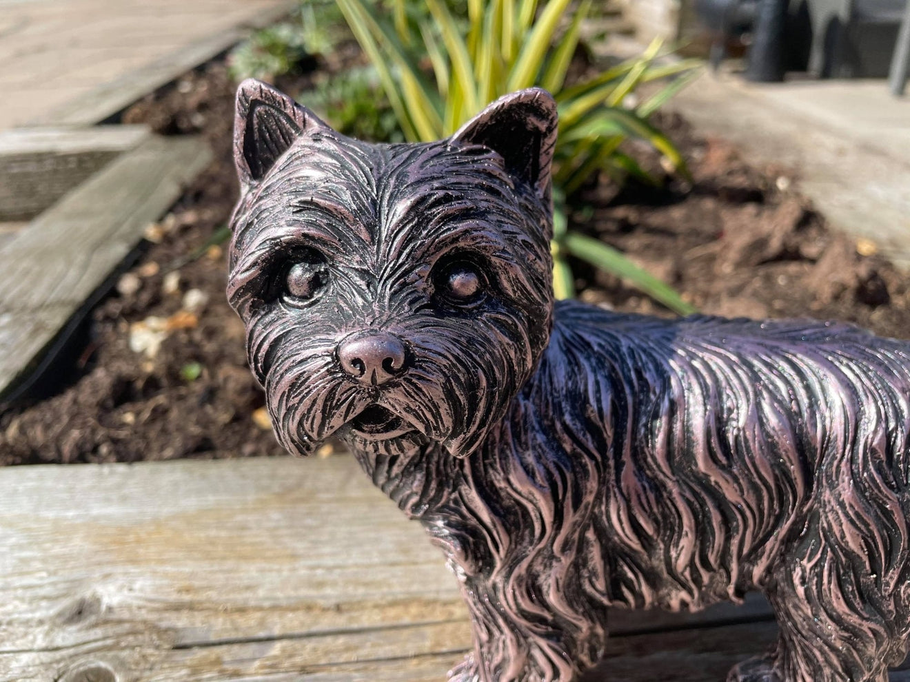 Mini Westies - Backyard Bliss