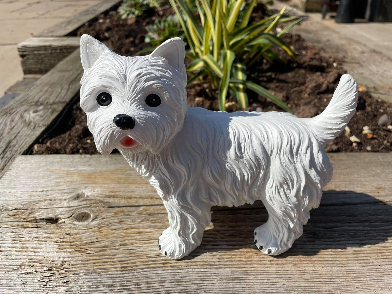 Mini Westies - Backyard Bliss
