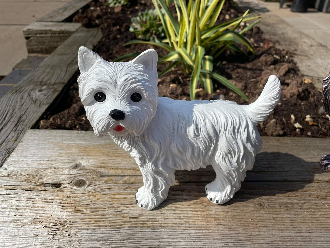 Mini Westies - Backyard Bliss