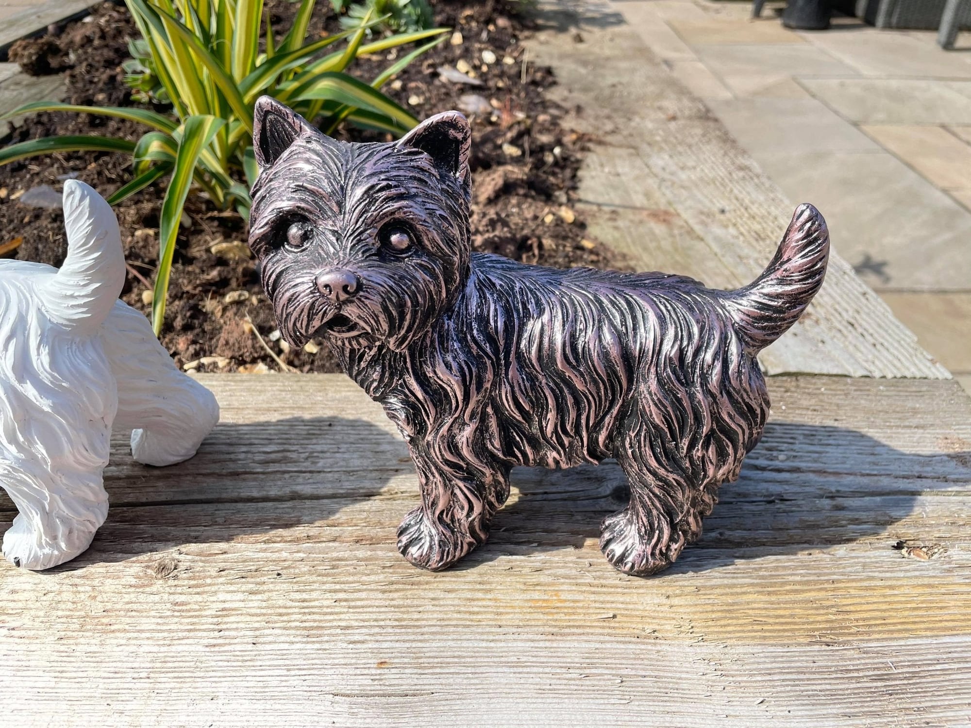 Mini Westies - Backyard Bliss