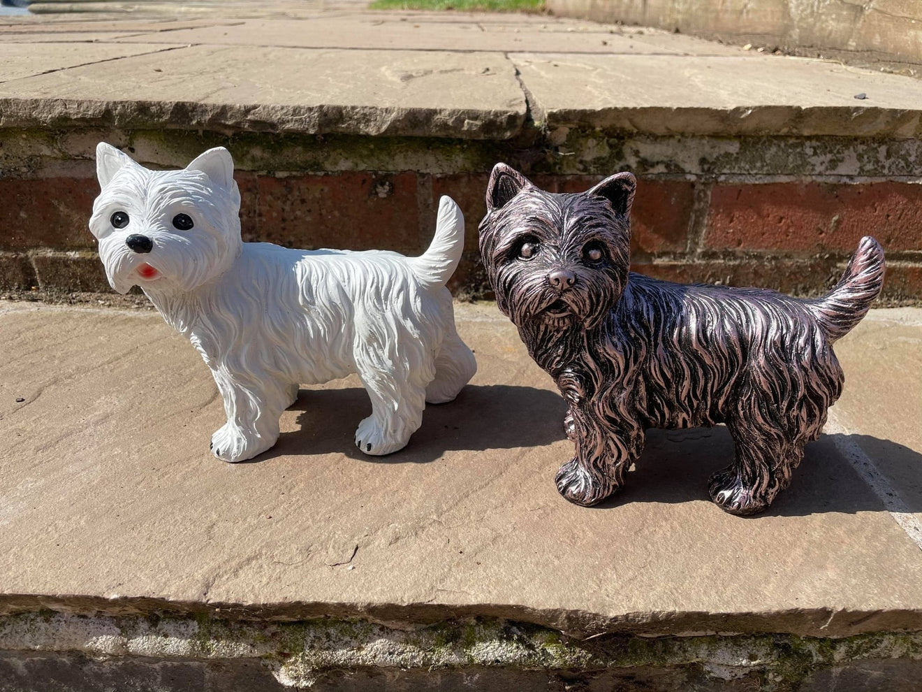 Mini Westies - Backyard Bliss