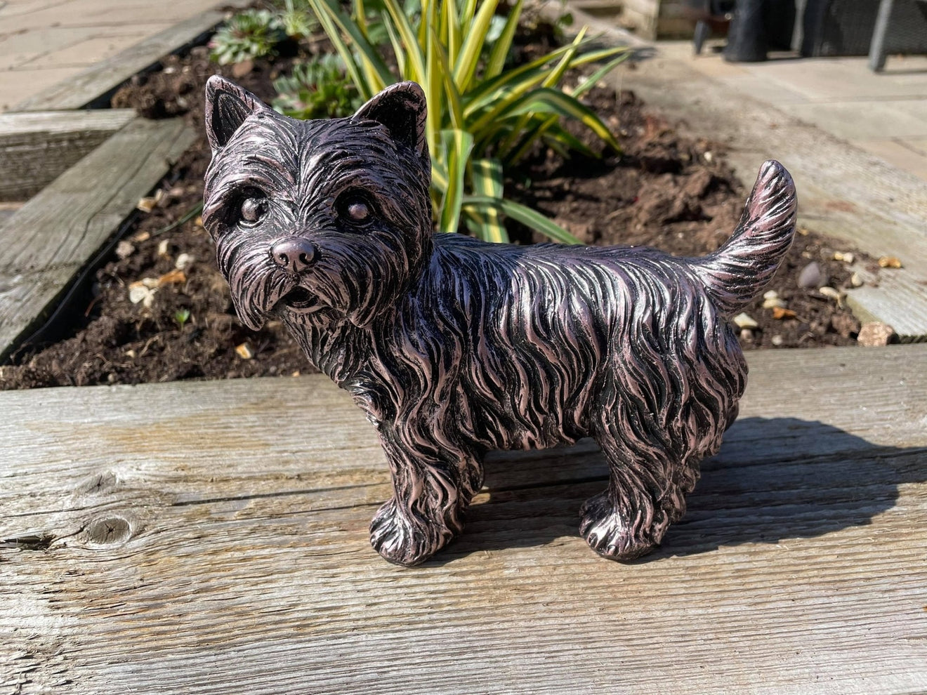 Mini Westies - Backyard Bliss