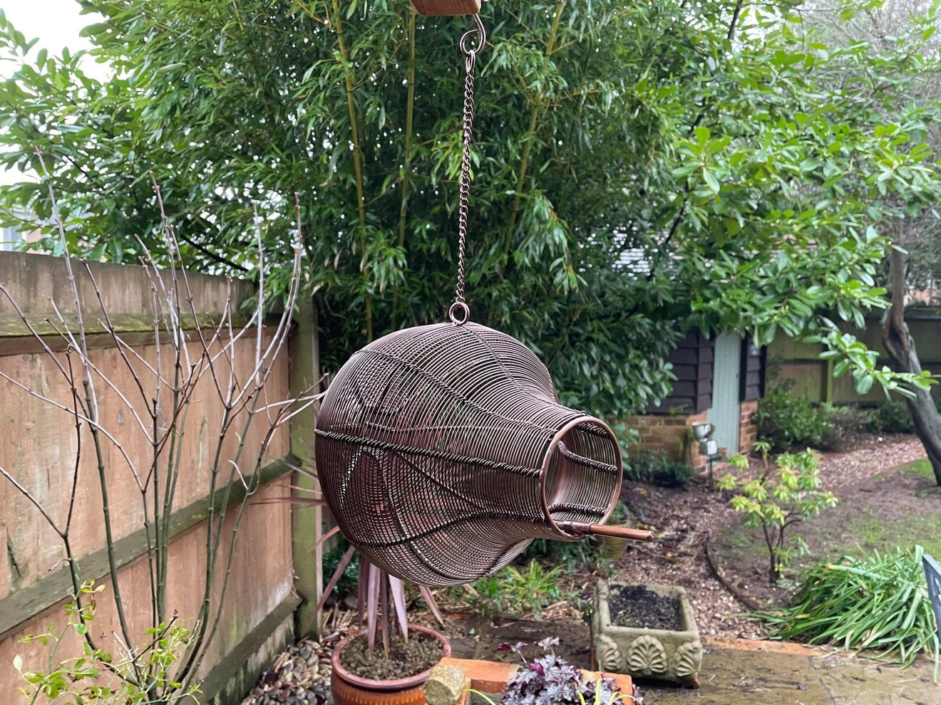 Modern Bird Feeder - Backyard Bliss