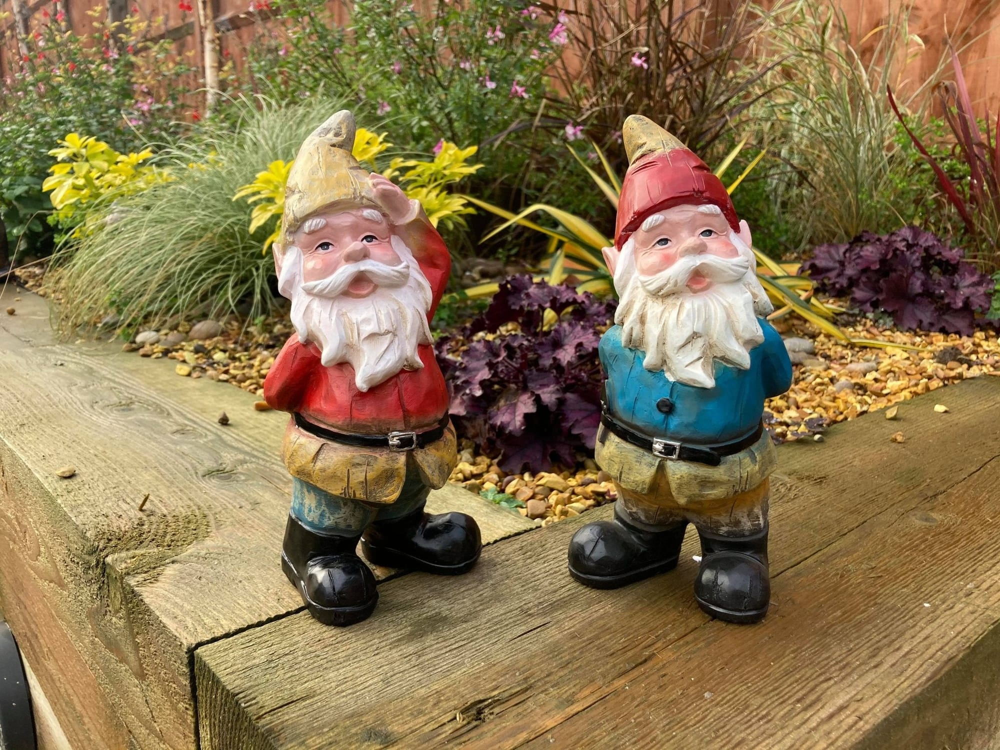 Naughty Gnomes - Backyard Bliss