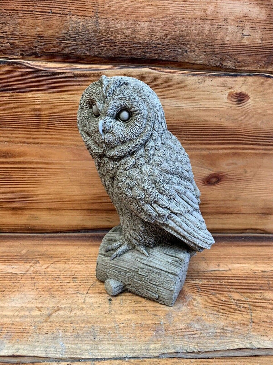 Owl on Log - Backyard Bliss
