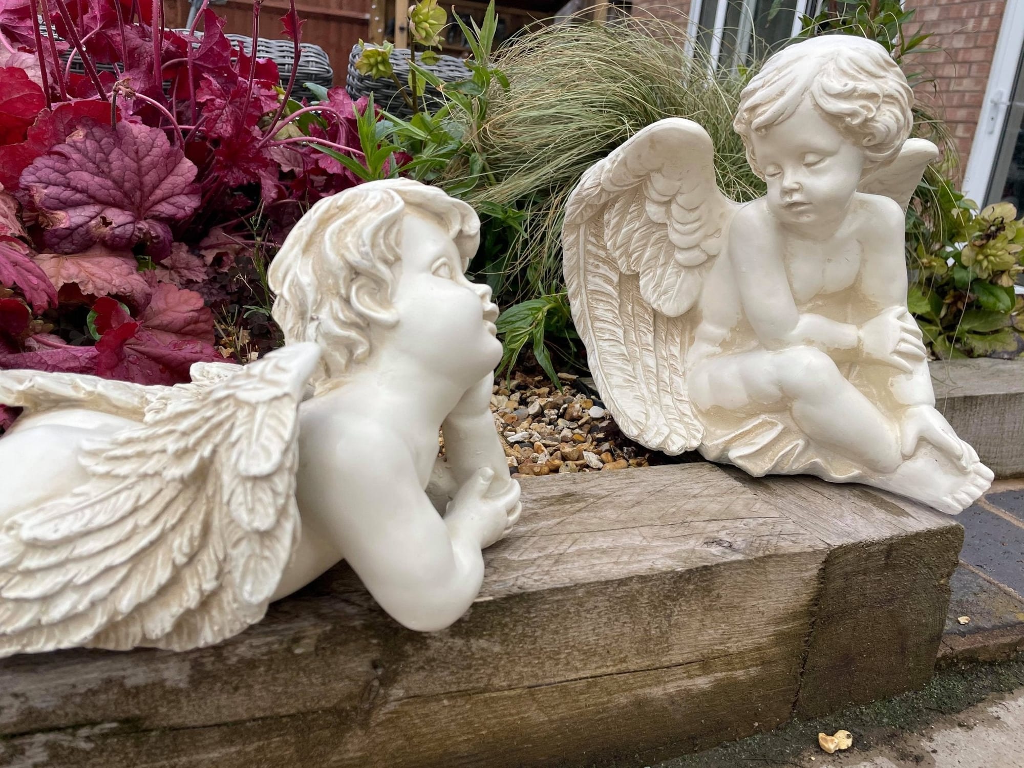 Pair of Angelic Cherubs - Backyard Bliss