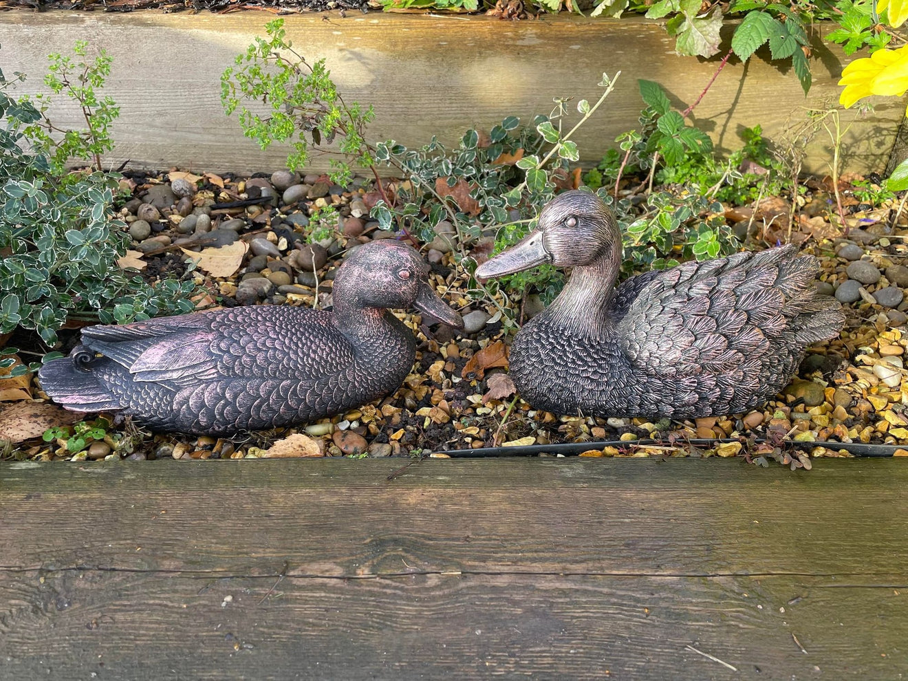 Pair of Bronze Ducks - Backyard Bliss