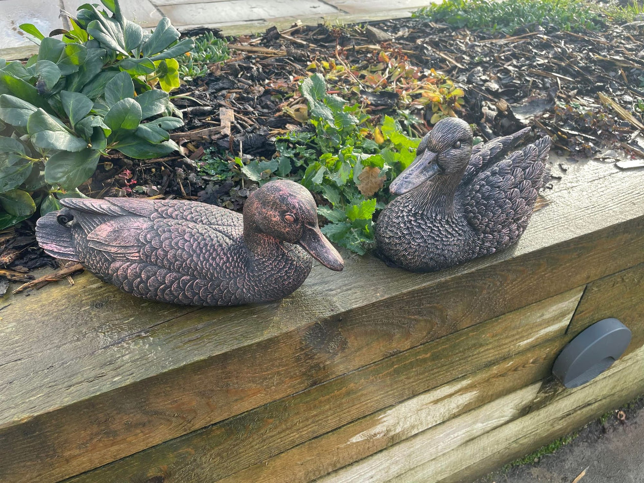 Pair of Bronze Ducks - Backyard Bliss