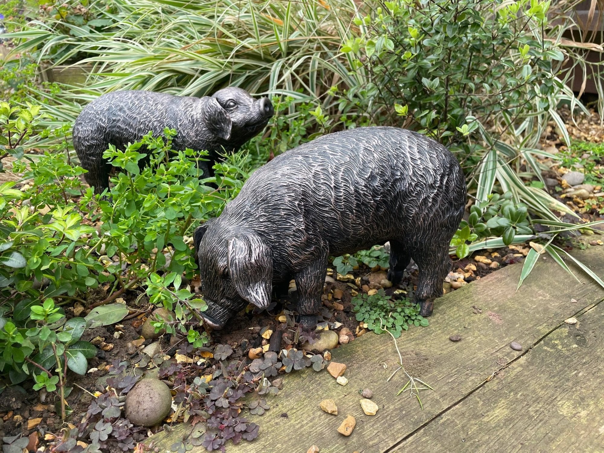Pair of Bronze Pigs - Backyard Bliss