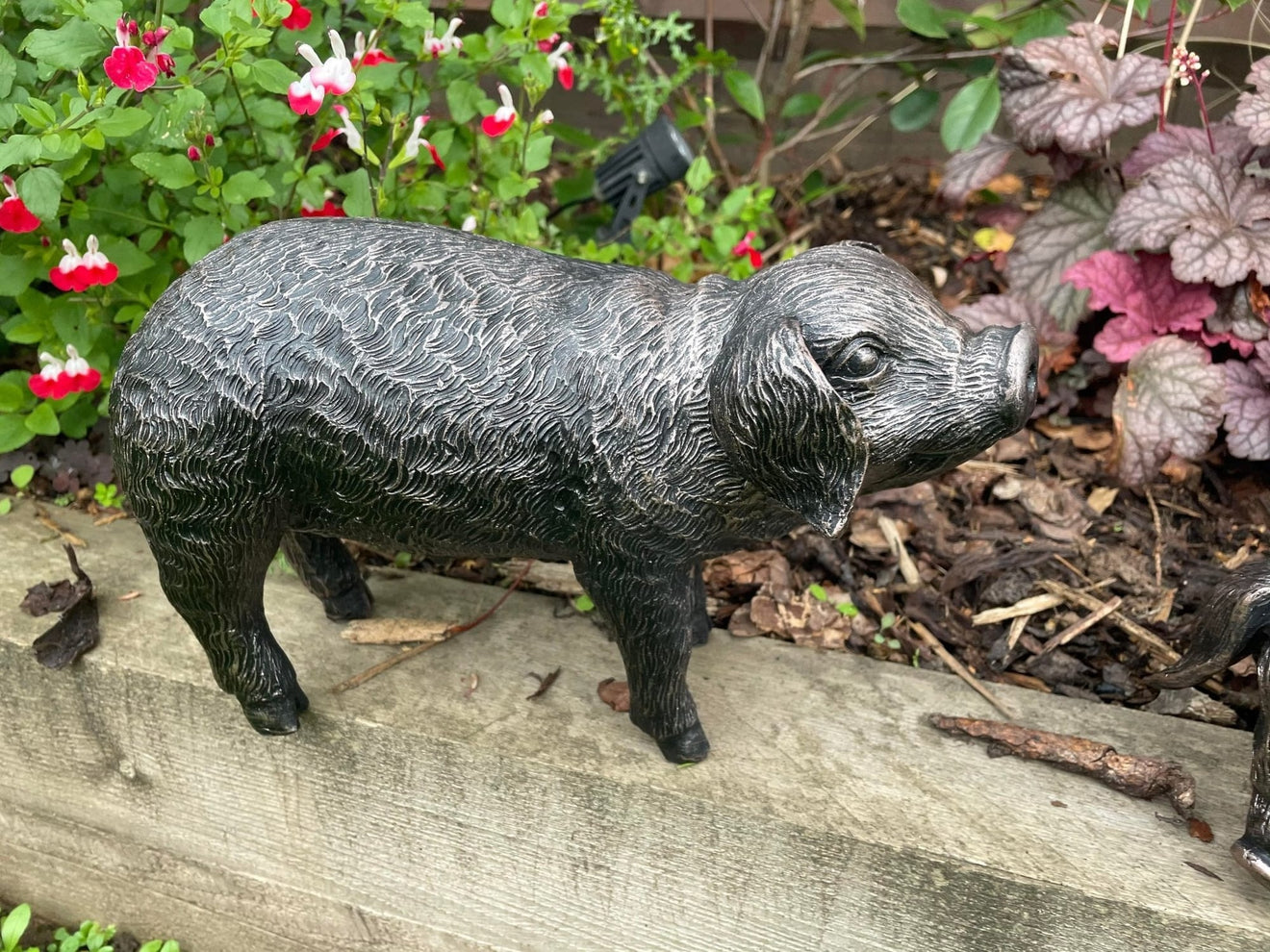 Pair of Bronze Pigs - Backyard Bliss