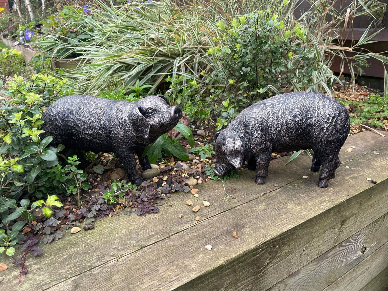 Pair of Bronze Pigs - Backyard Bliss