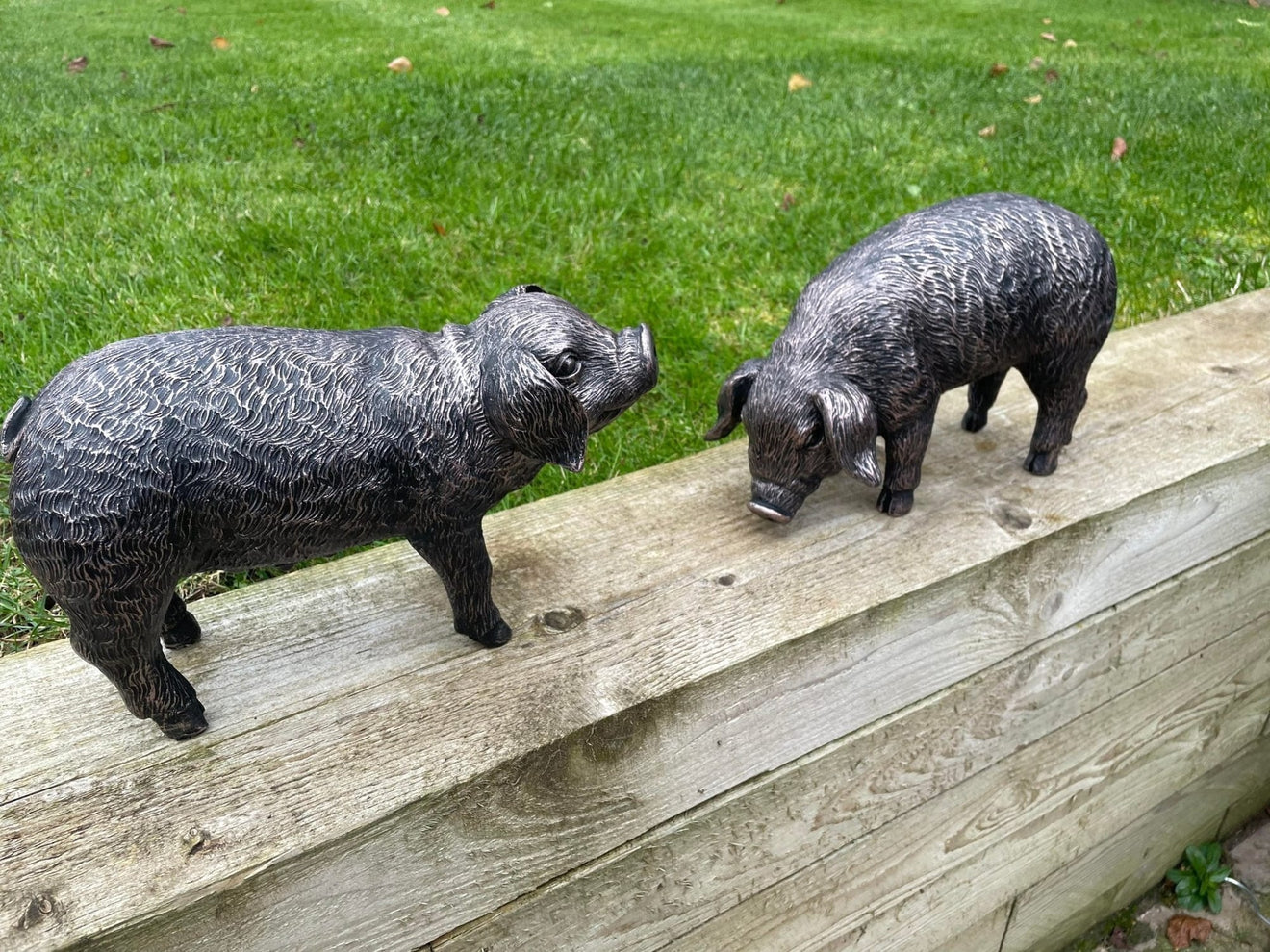 Pair of Bronze Pigs - Backyard Bliss