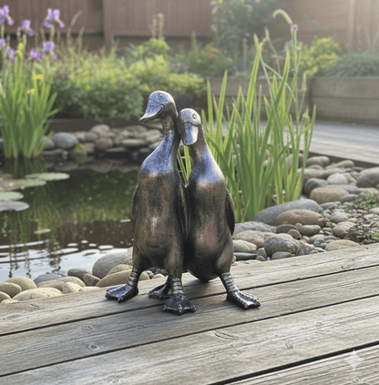 Pair of Ducks - Backyard Bliss