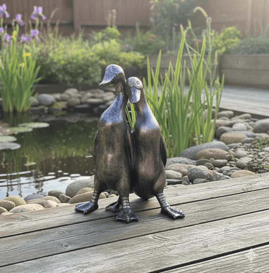 Pair of Ducks - Backyard Bliss