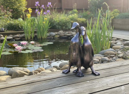 Pair of Ducks - Backyard Bliss