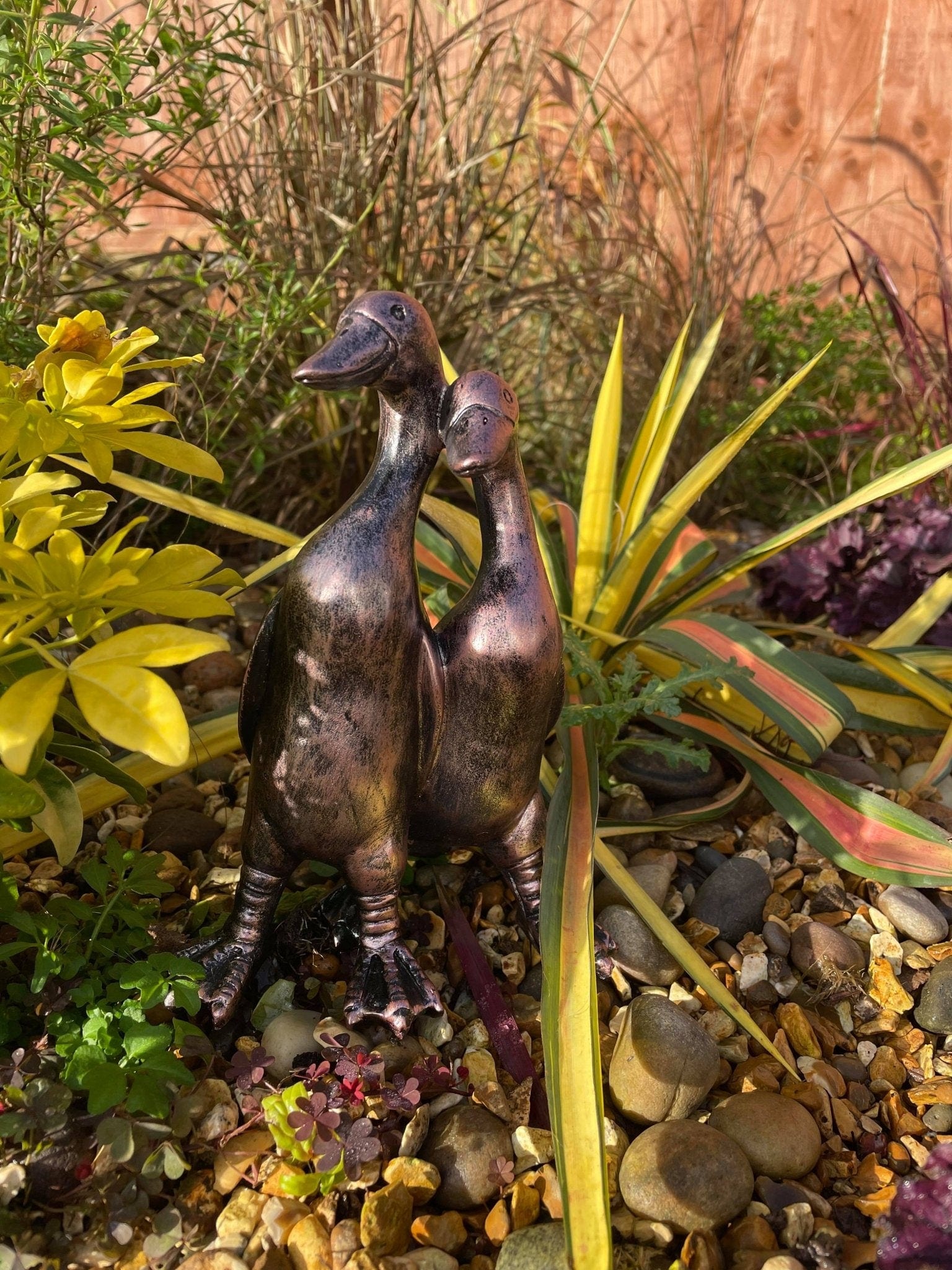 Pair of Mini Ducks - Backyard Bliss