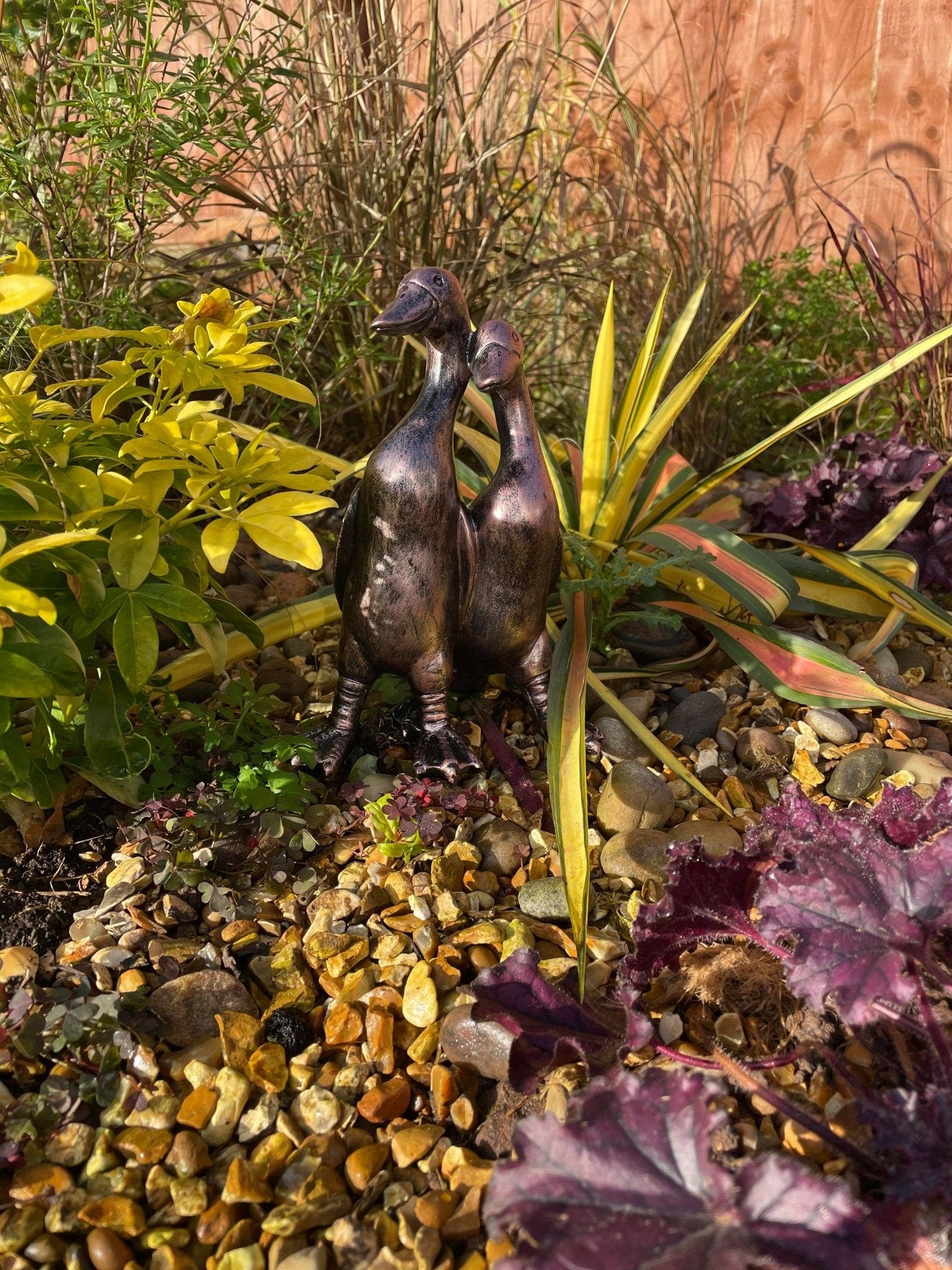 Pair of Mini Ducks - Backyard Bliss