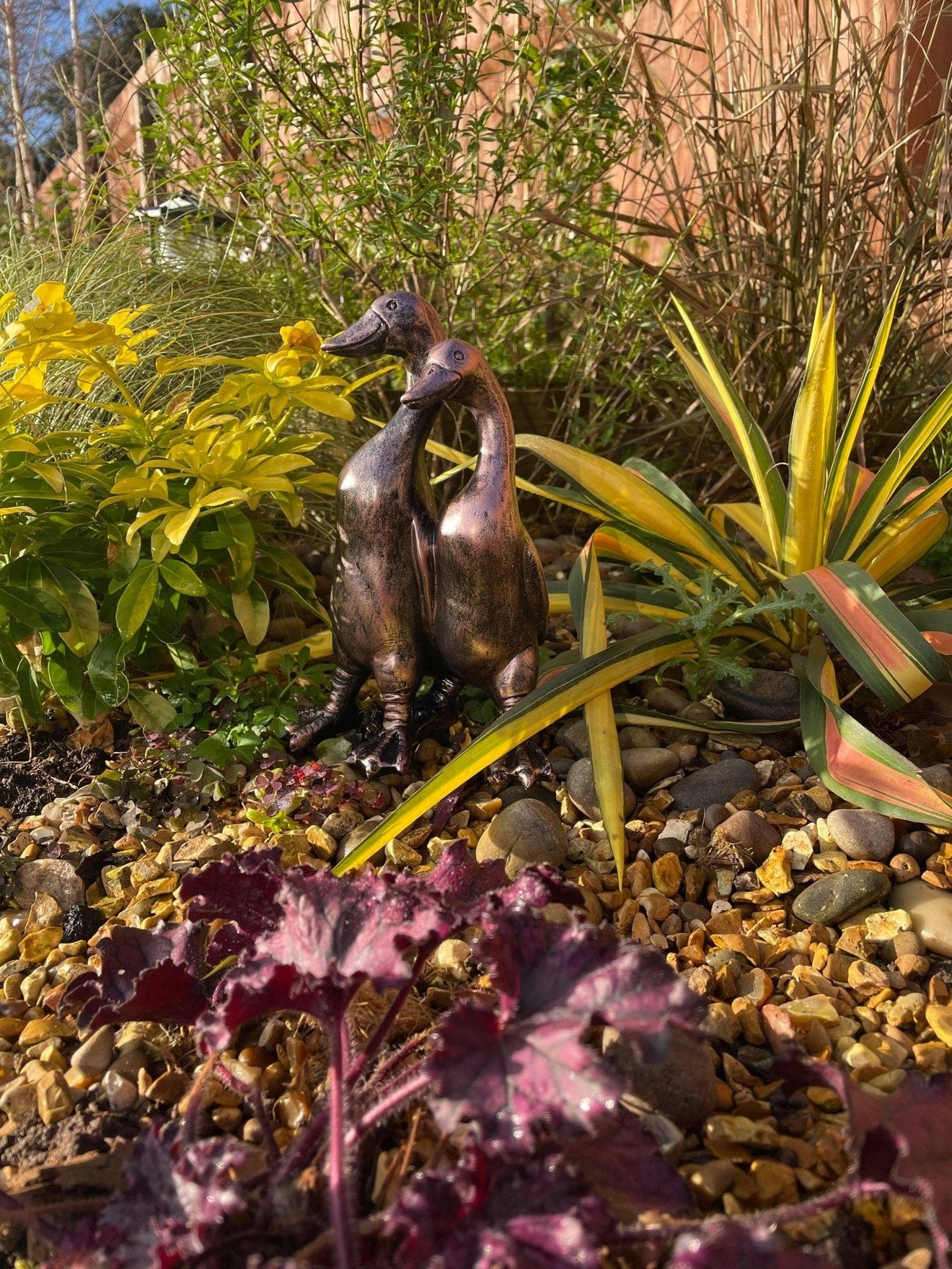 Pair of Mini Ducks - Backyard Bliss