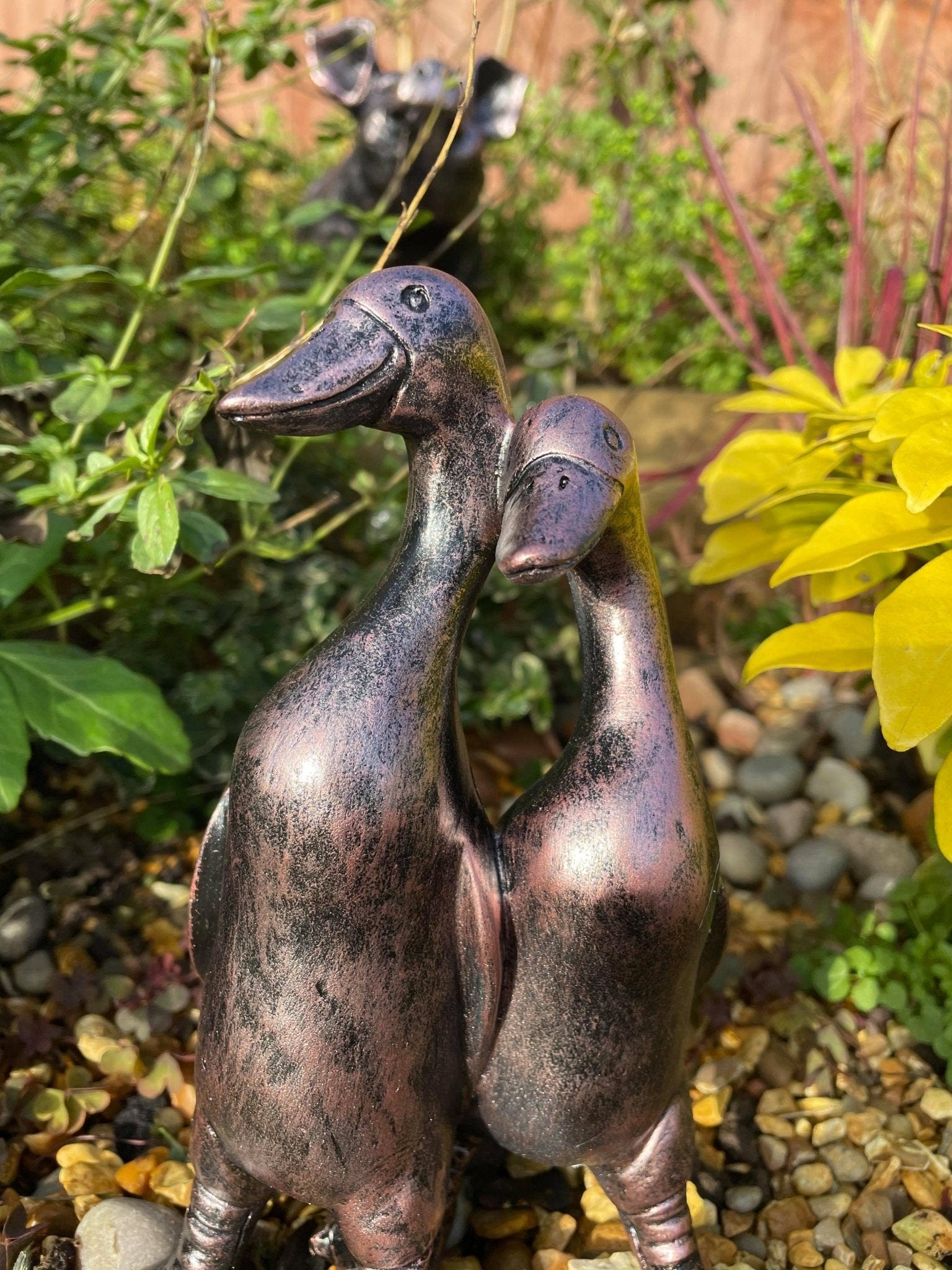 Pair of Mini Ducks - Backyard Bliss