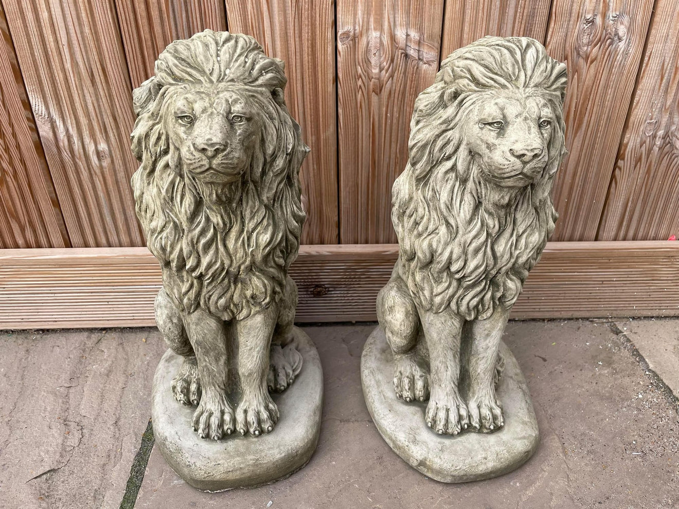 Pair of Sitting Lion Statue's - Backyard Bliss