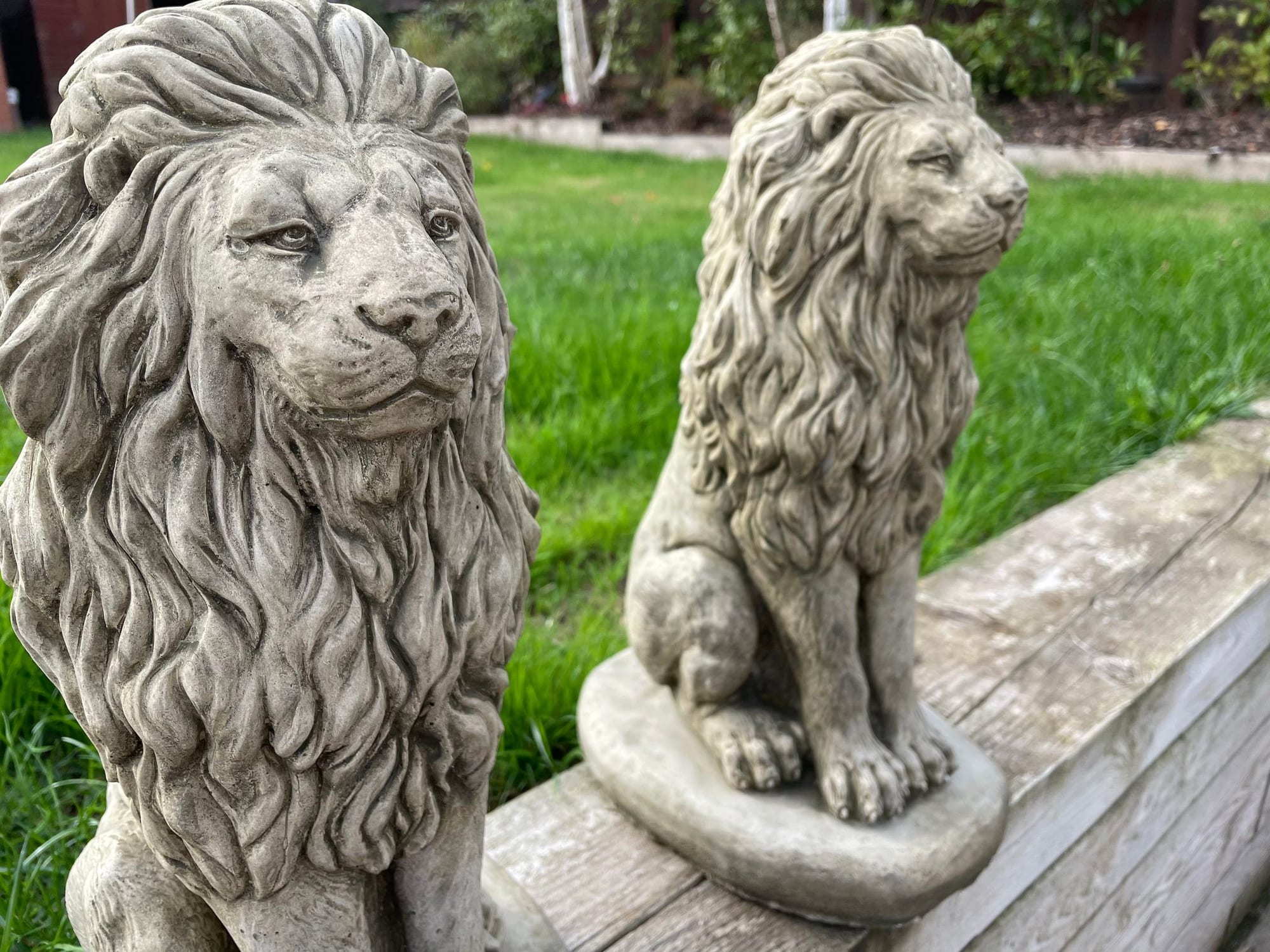 Pair of Sitting Lion Statue's - Backyard Bliss