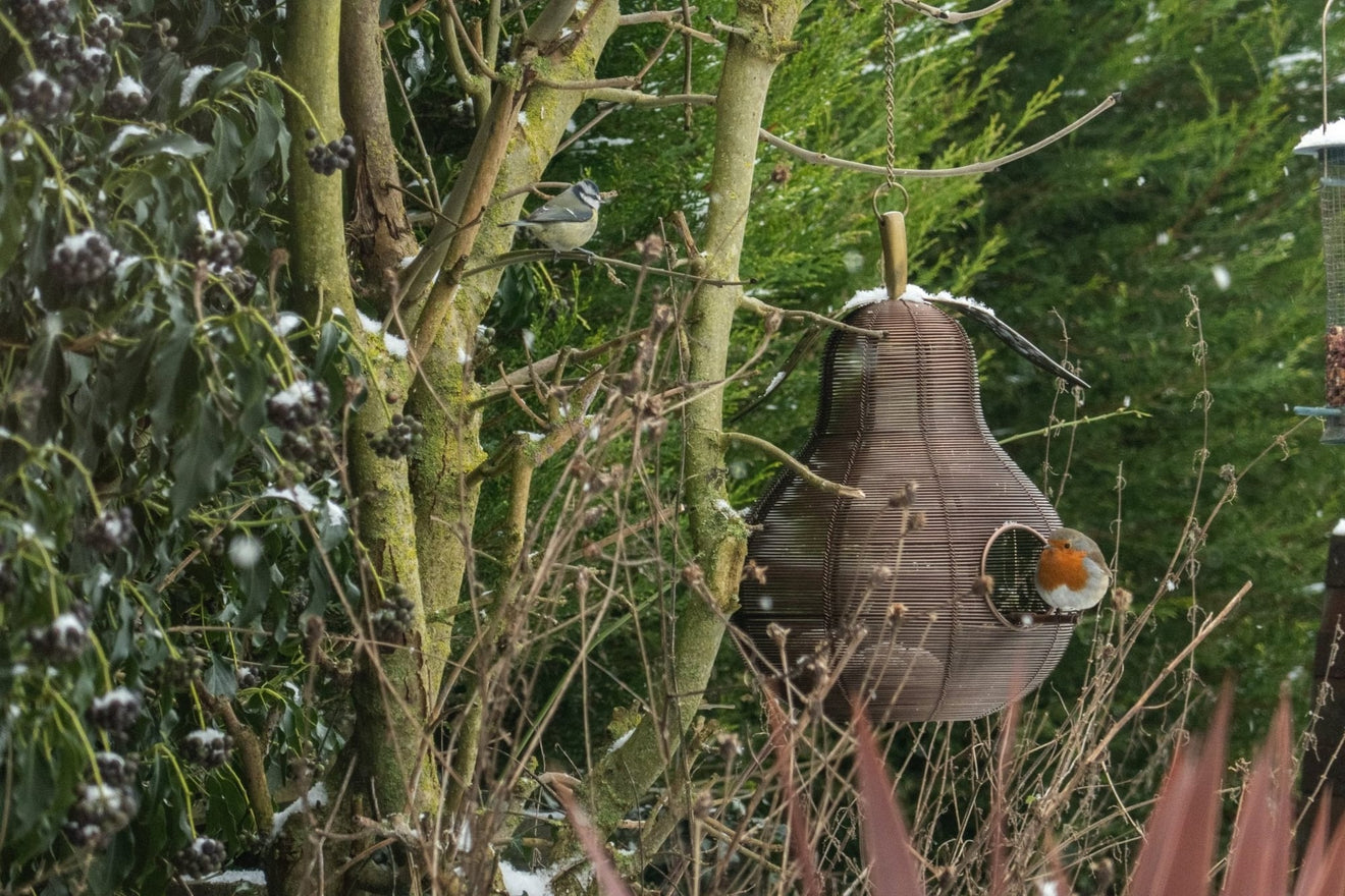 Pear Shaped Copper Bird Feeder - Backyard Bliss